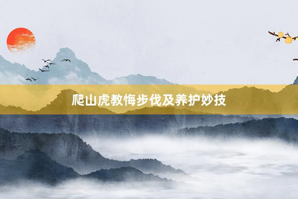 爬山虎教悔步伐及养护妙技