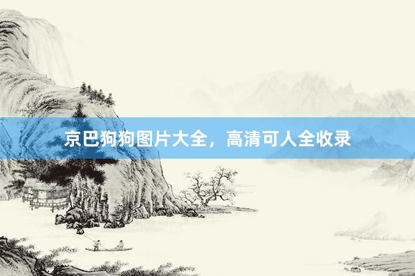京巴狗狗图片大全，高清可人全收录