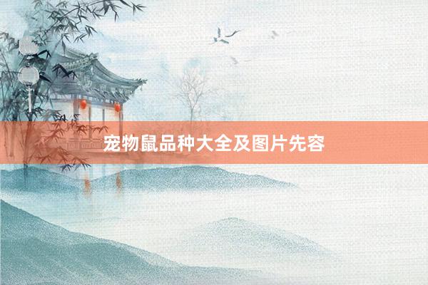 宠物鼠品种大全及图片先容