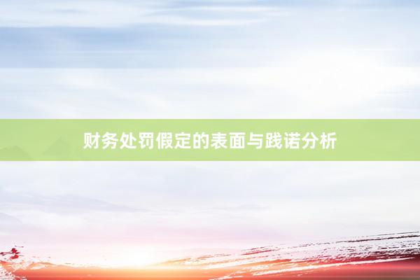 财务处罚假定的表面与践诺分析