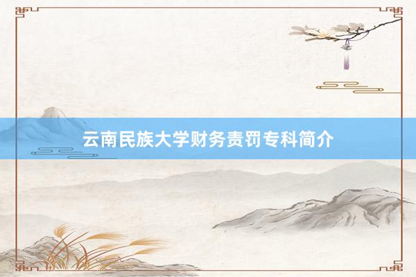 云南民族大学财务责罚专科简介